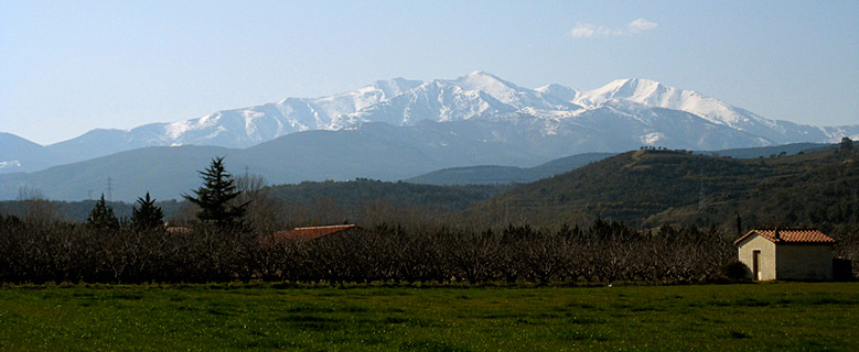 Mas d'en Mas - le massif du Canigou