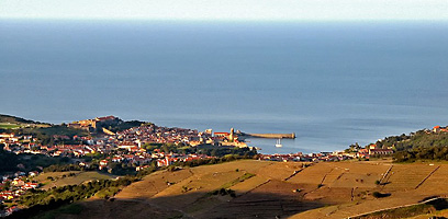 Mas d'en Mas - Collioure