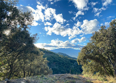 Le Vallespir
